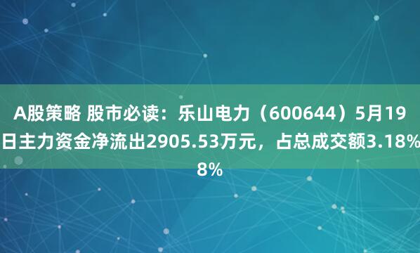 A股策略 股市必读：乐山电力（600644）5月19日主力资金净流出2905.53万元，占总成交额3.18%