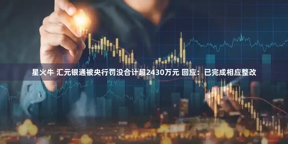 星火牛 汇元银通被央行罚没合计超2430万元 回应：已完成相应整改