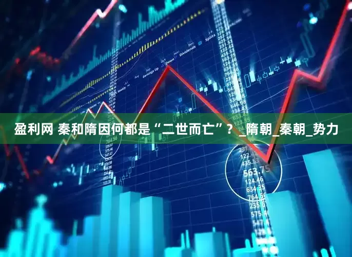 盈利网 秦和隋因何都是“二世而亡”？_隋朝_秦朝_势力