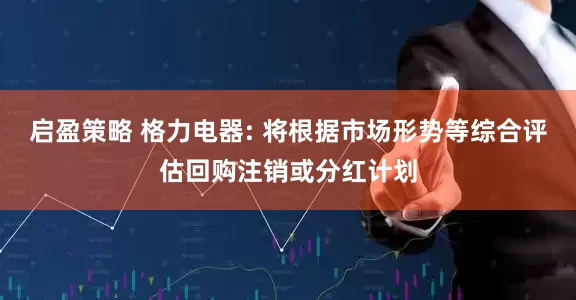 启盈策略 格力电器: 将根据市场形势等综合评估回购注销或分红计划