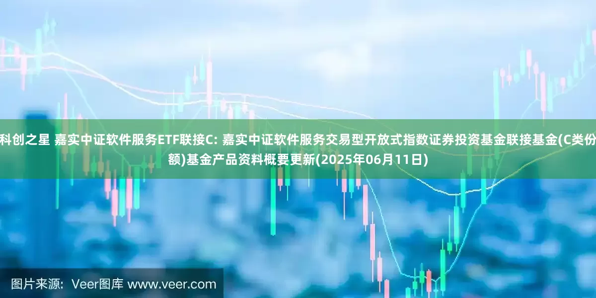 科创之星 嘉实中证软件服务ETF联接C: 嘉实中证软件服务交易型开放式指数证券投资基金联接基金(C类份额)基金产品资料概要更新(2025年06月11日)