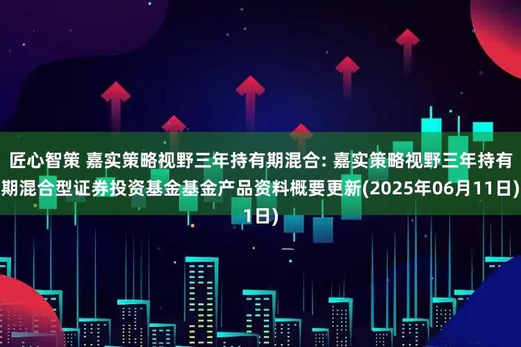 匠心智策 嘉实策略视野三年持有期混合: 嘉实策略视野三年持有期混合型证券投资基金基金产品资料概要更新(2025年06月11日)