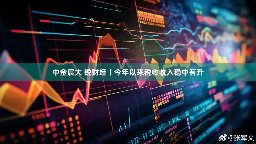 中金宸大 锐财经丨今年以来税收收入稳中有升