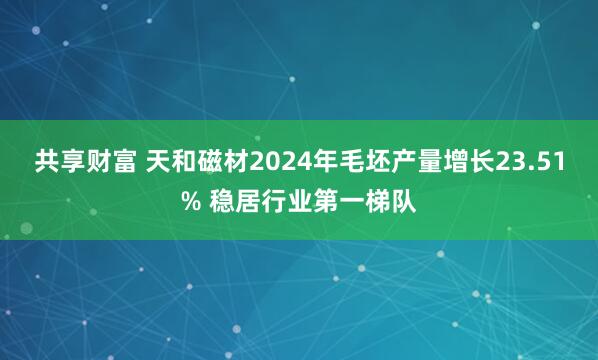 共享财富 天和磁材2024年毛坯产量增长23.51% 稳居行业第一梯队